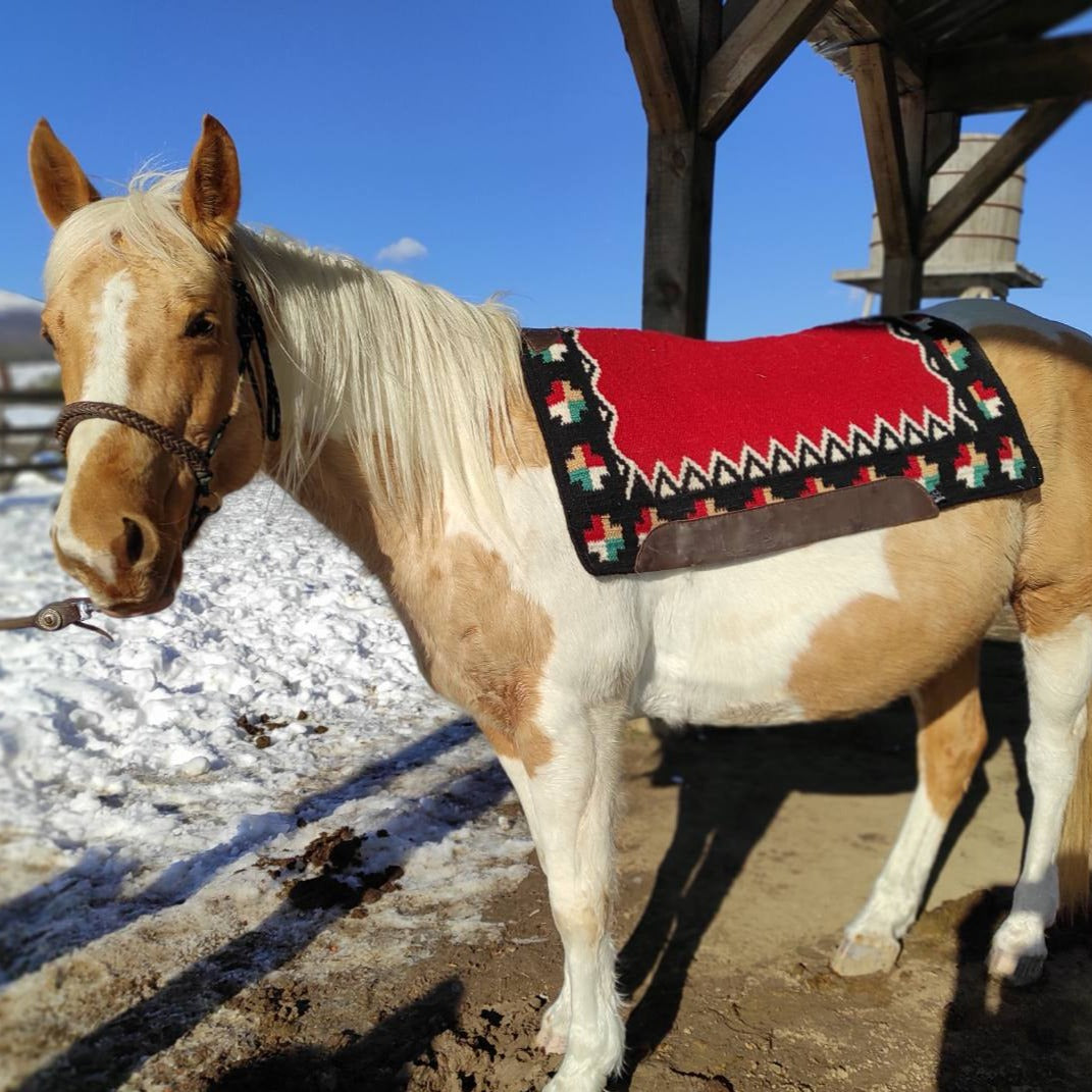Wild Wild West! A package of individual Mustang riding lessons for beginners in an authentic ranch