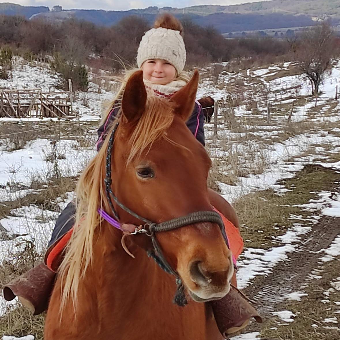 Wild Wild West! A package of individual Mustang riding lessons for beginners in an authentic ranch