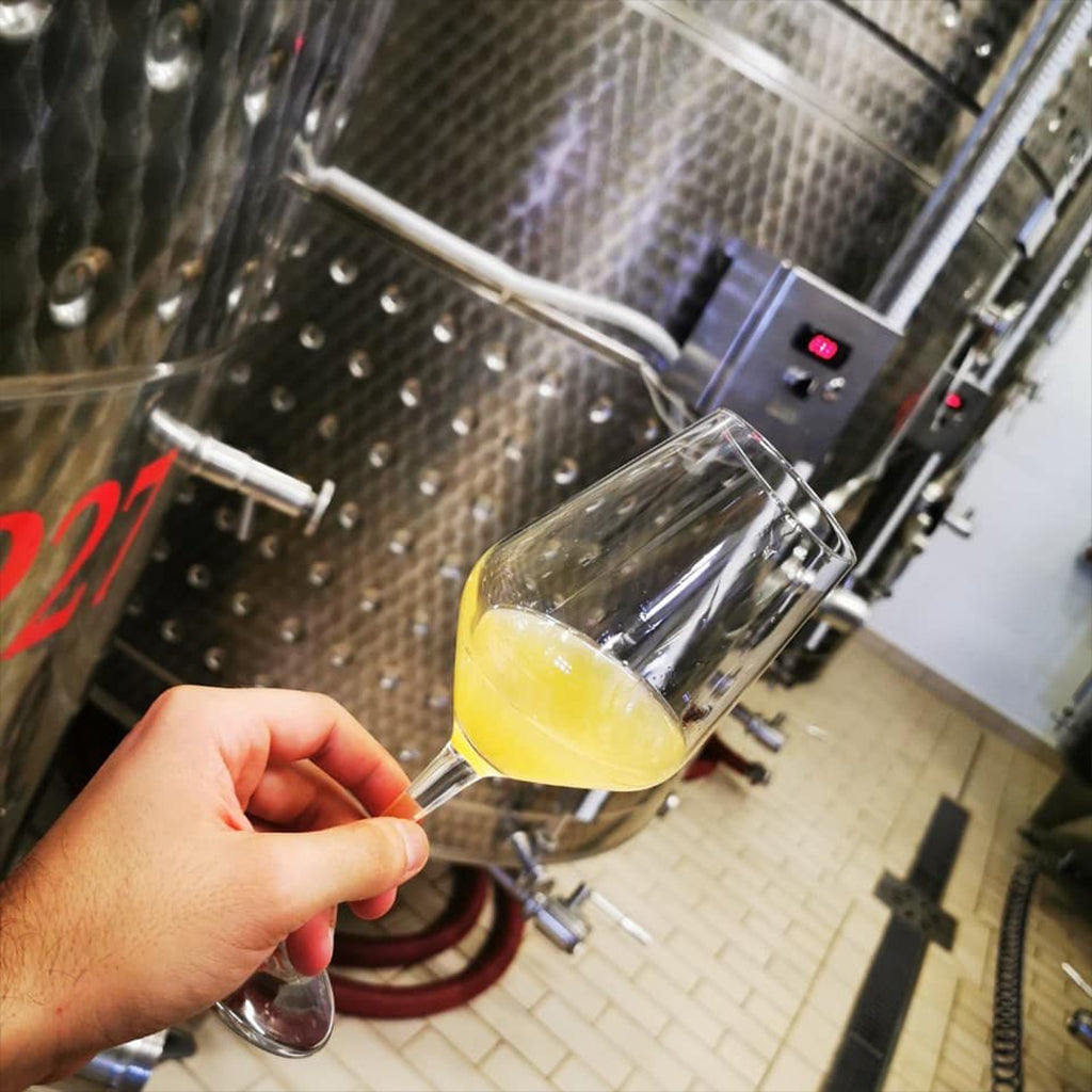 Wine affair in Melnik. WOW! - Six-step wine degustation for two