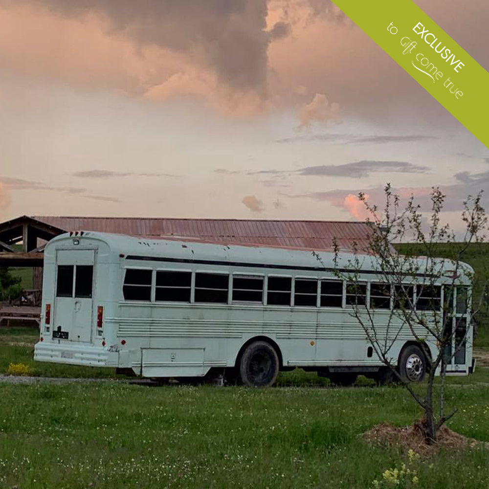 Learn to Drive american Army bus BlueBird