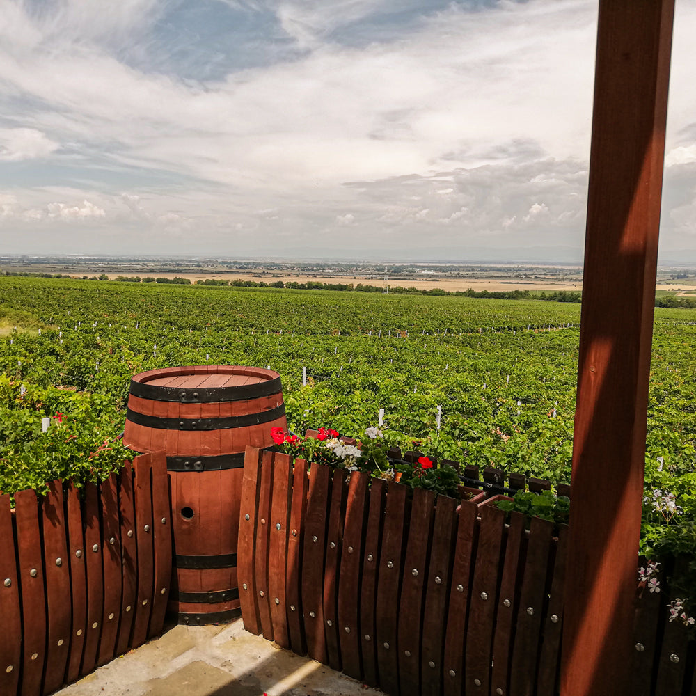 Follow the wine path step by step: Craft wine tasting for two. Parvomay