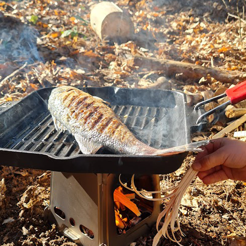 Wild therapy - Basics of survival for a group of up to 8 people.  Vitosha, Plana or Stara Planina