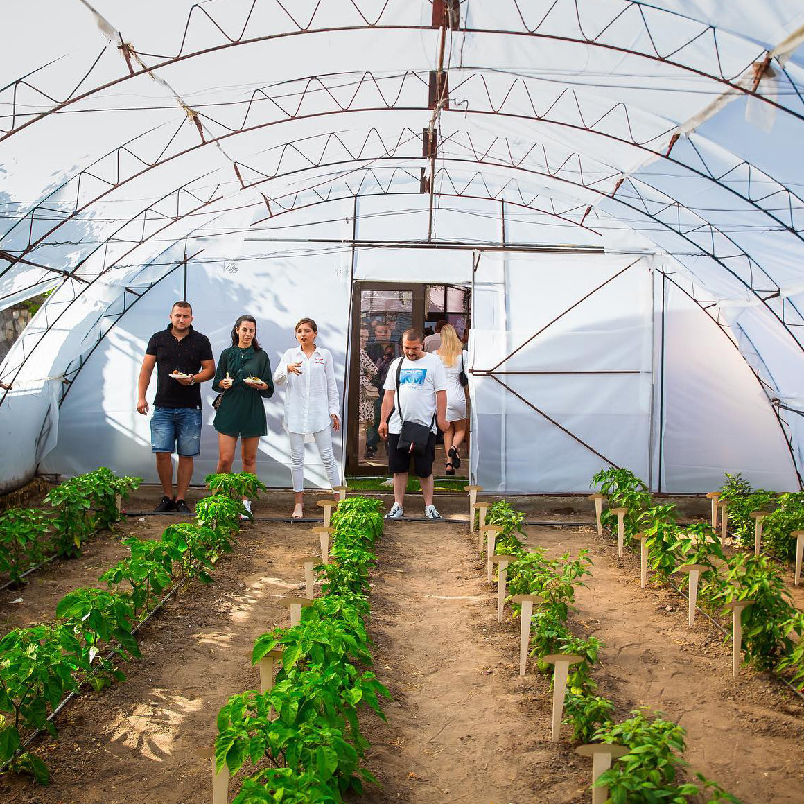Visit to the first hot farm in Bulgaria with presentation and dinner near Varna