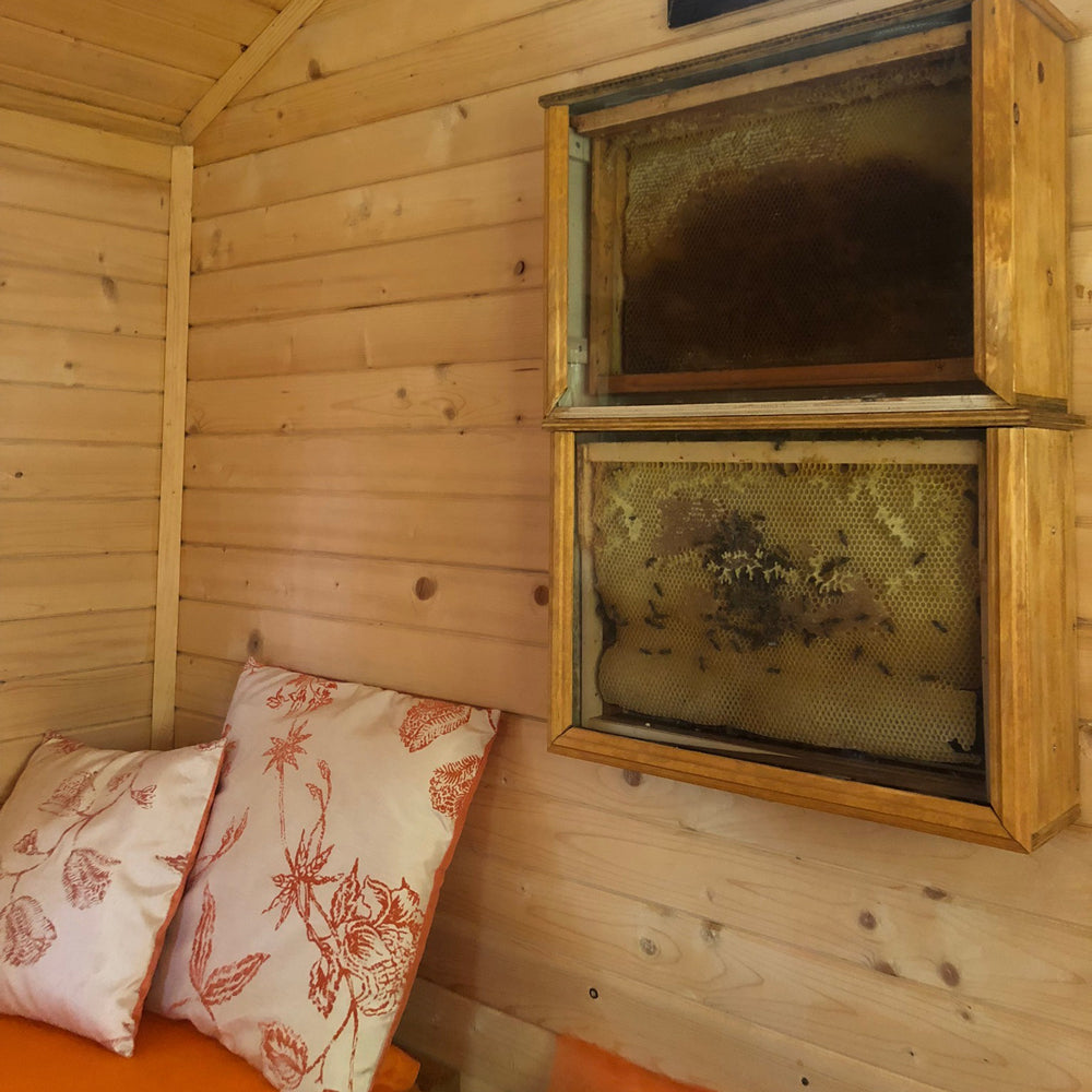 A bee bed experience and a special bee gift