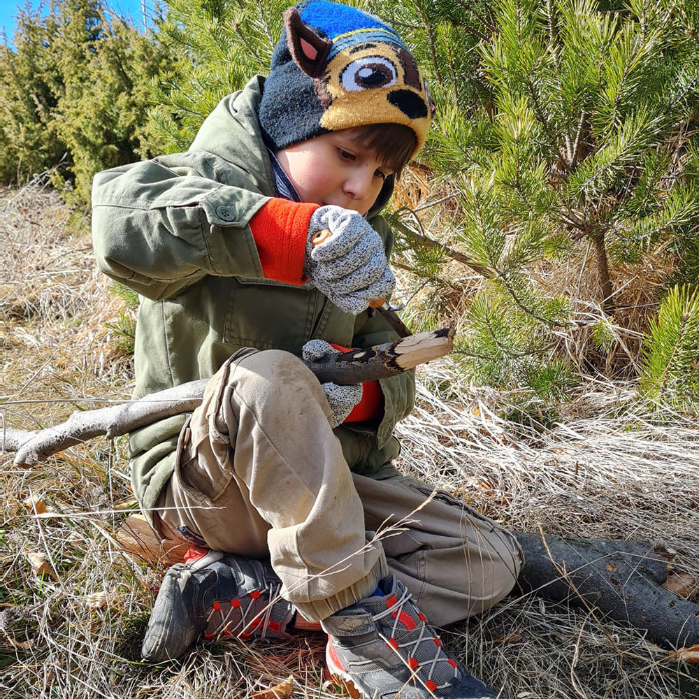 Wild therapy - Basics of survival for a group of up to 8 people.  Vitosha, Plana or Stara Planina