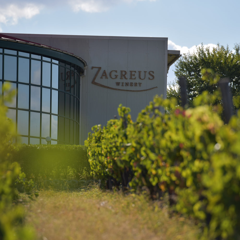 Follow the wine path step by step: Craft wine tasting for two. Parvomay