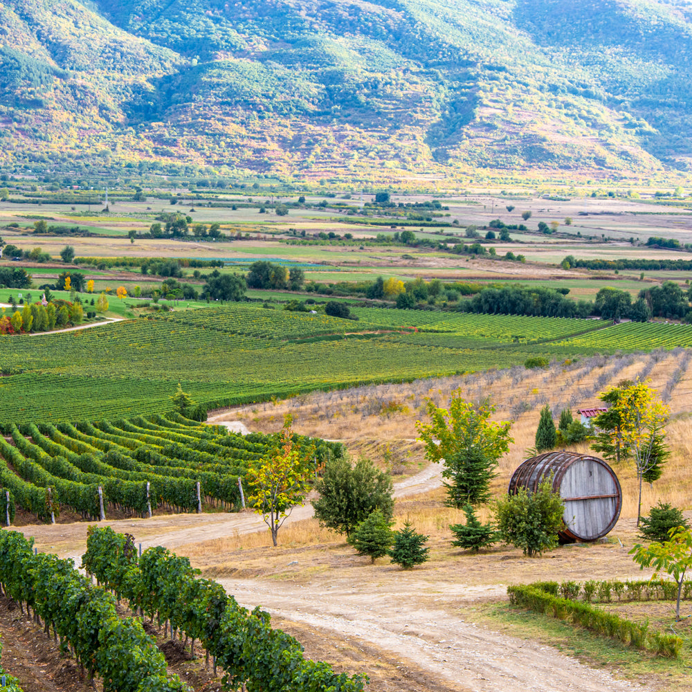 A special wine tour and tasting package "Monogram"