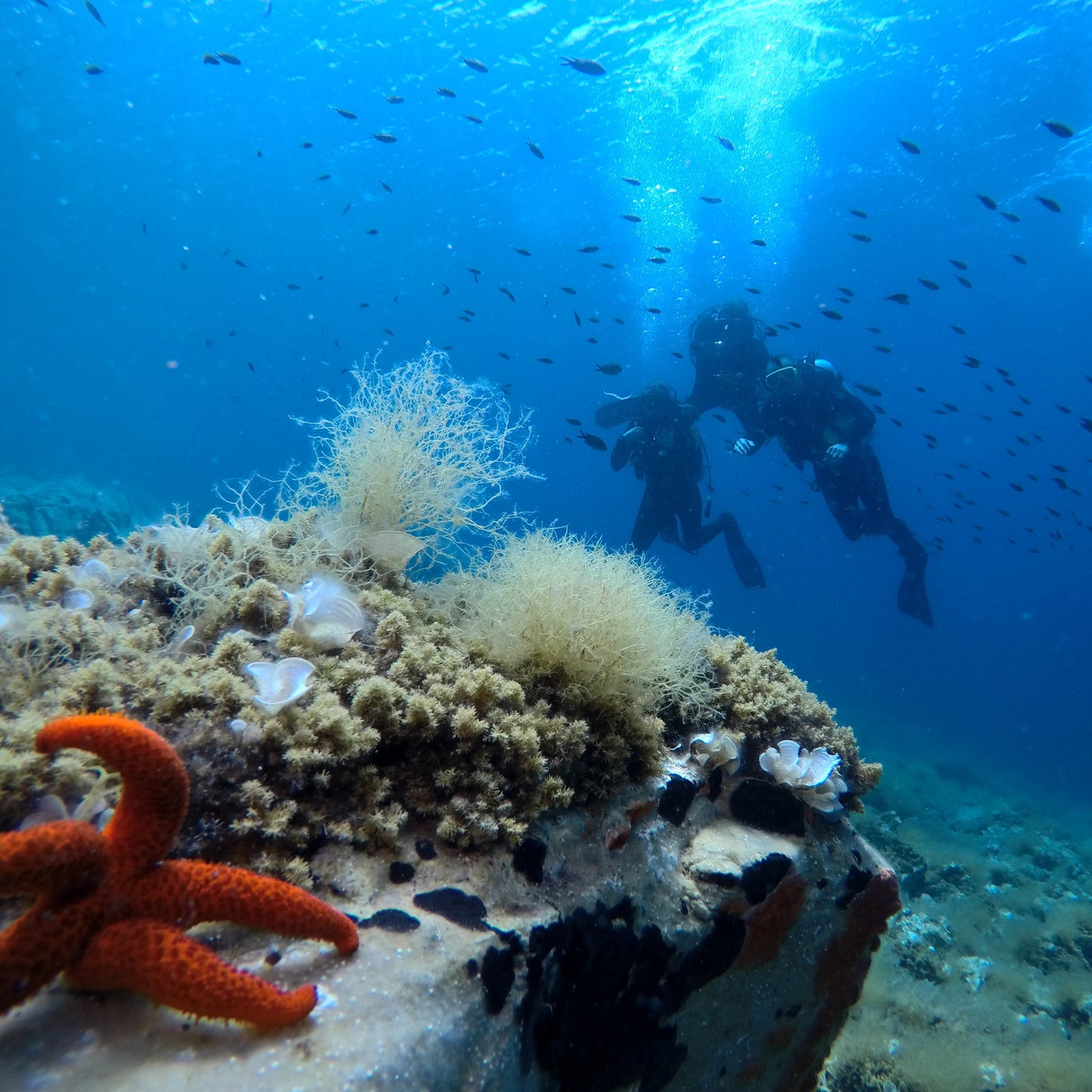 Experience an unforgettable adventure in Greece