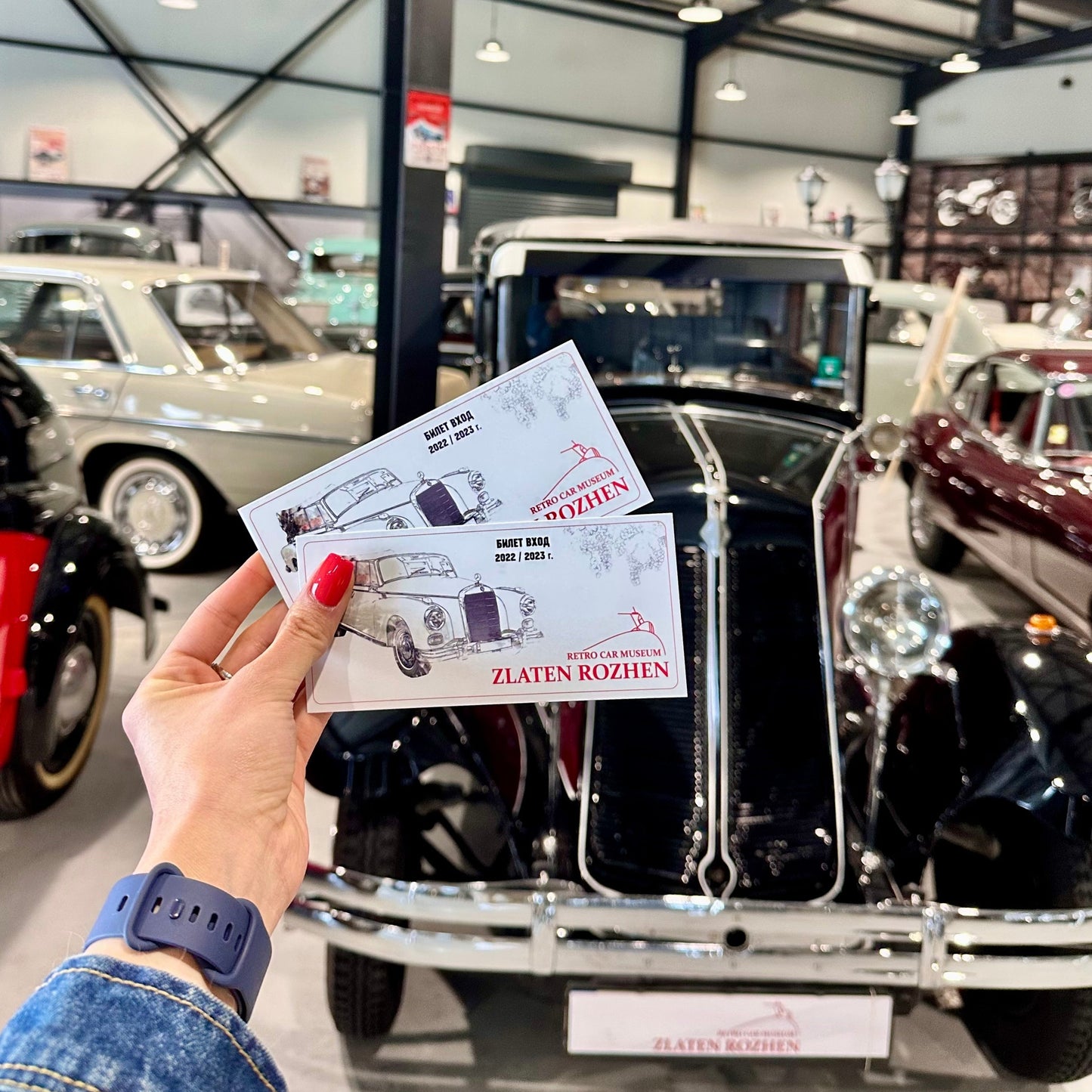 Zlaten Rozhen: wine tasting and retro car museum visit for two