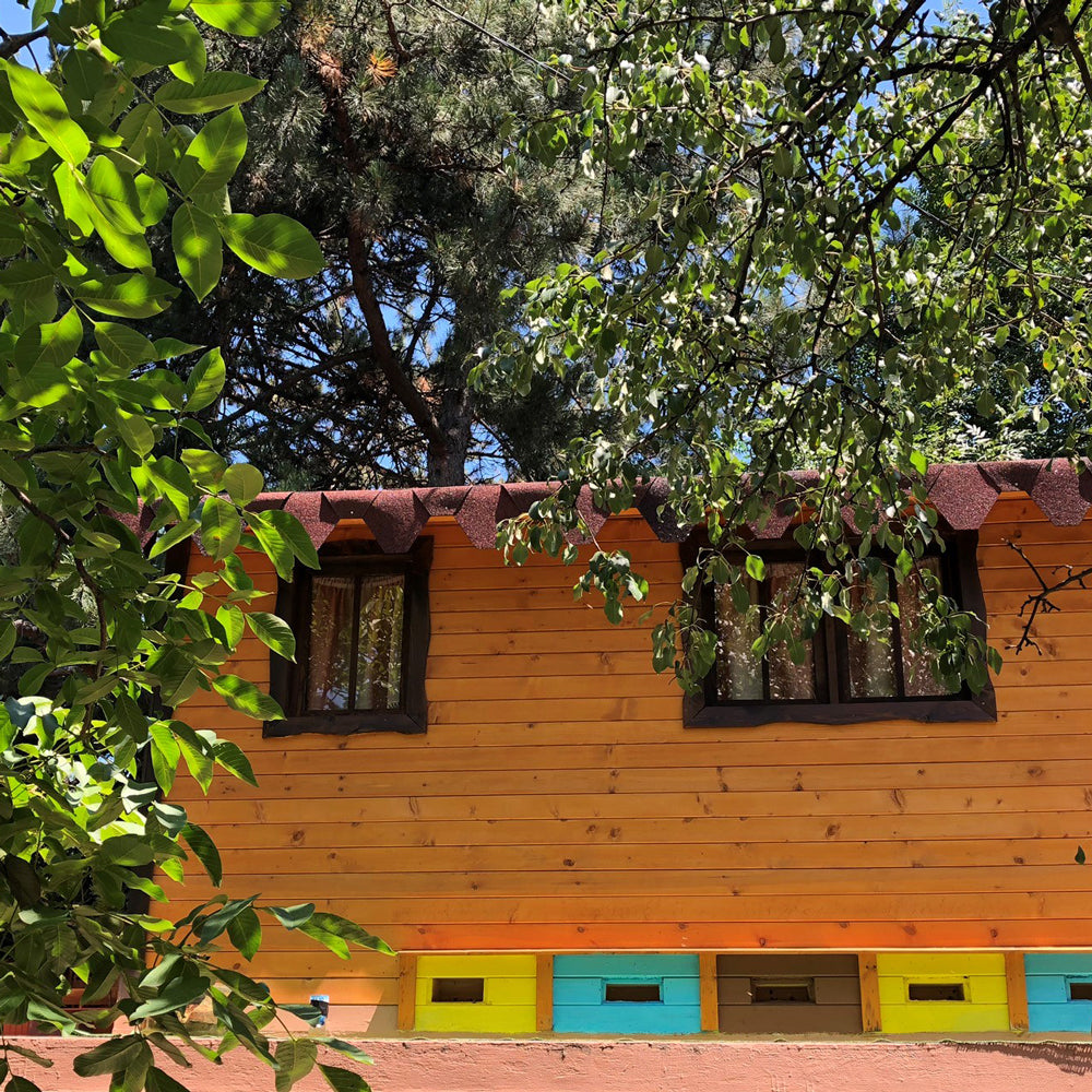 A bee bed experience and a special bee gift