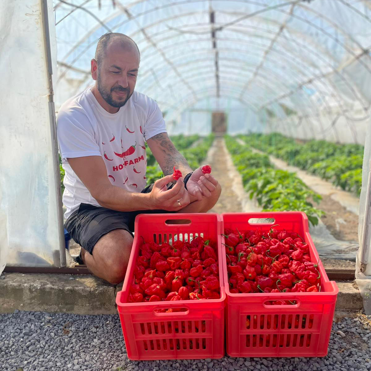 Visit to a hot farm, tour with presentation and tasting near Varna