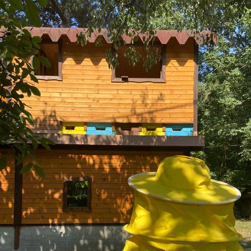 A bee bed experience and a special bee gift