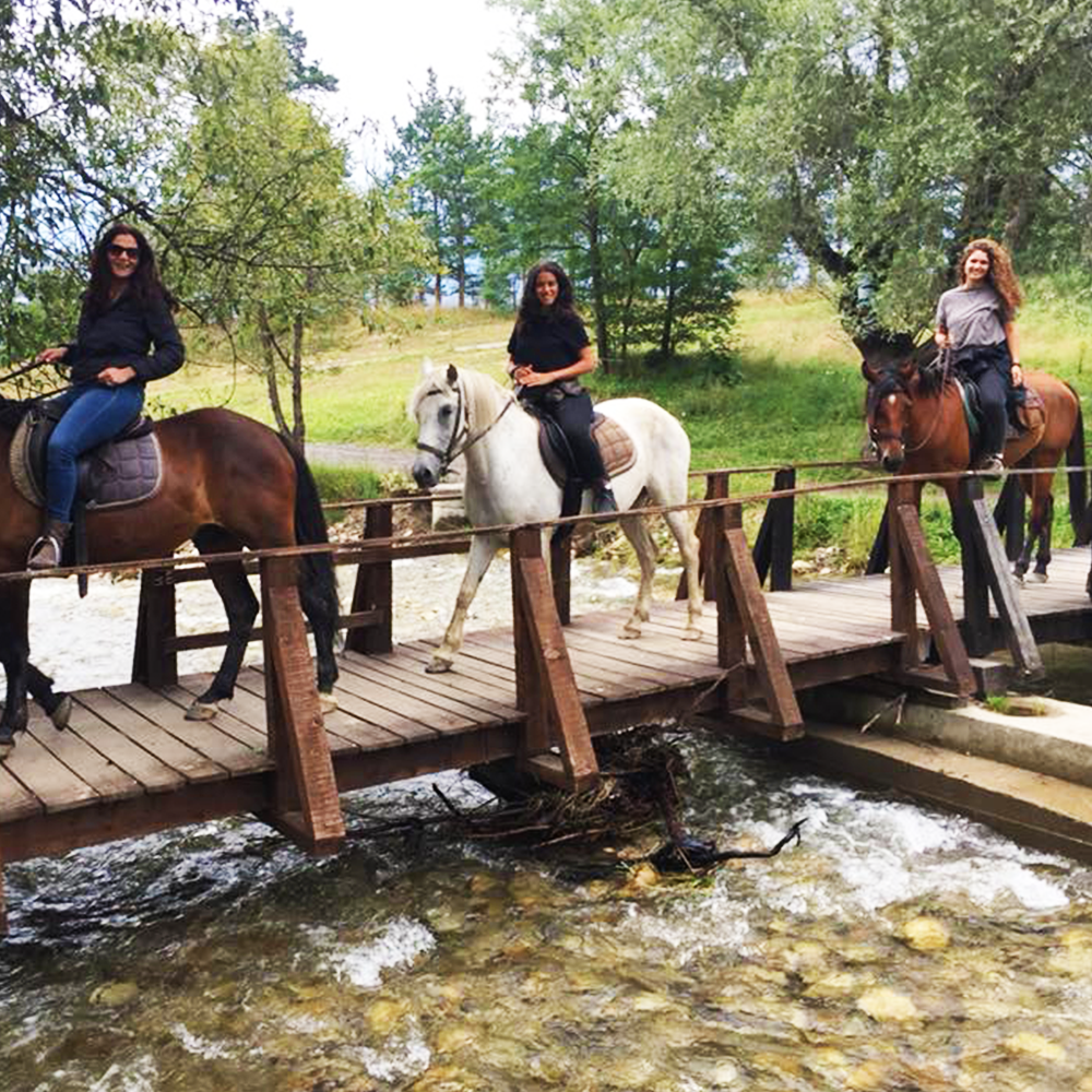 Horse riding in Rila. Galloping to happiness. Rancho Rila