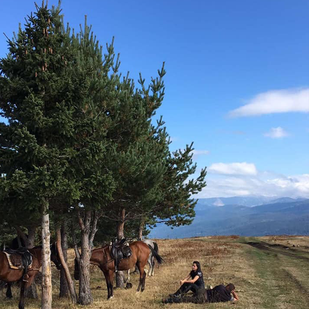 Horse riding in Rila. Galloping to happiness. Rancho Rila