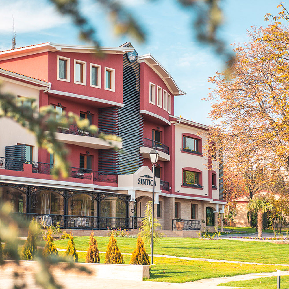 Ancient history, premium wines and relaxation amongst greenery and coziness