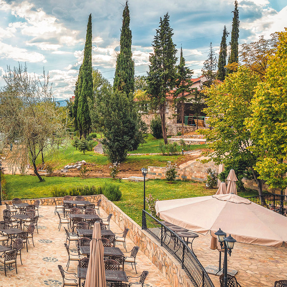 Ancient history, premium wines and relaxation amongst greenery and coziness