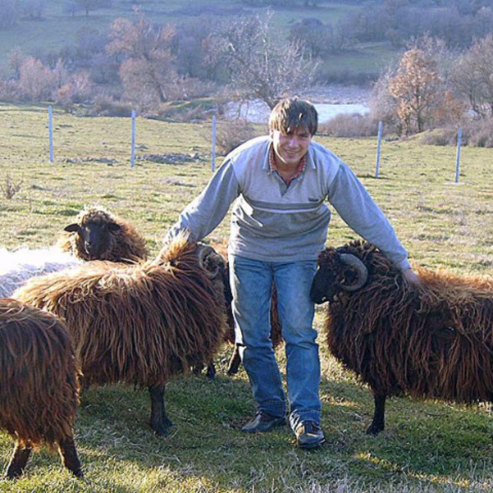 Овните в Дивата Ферма