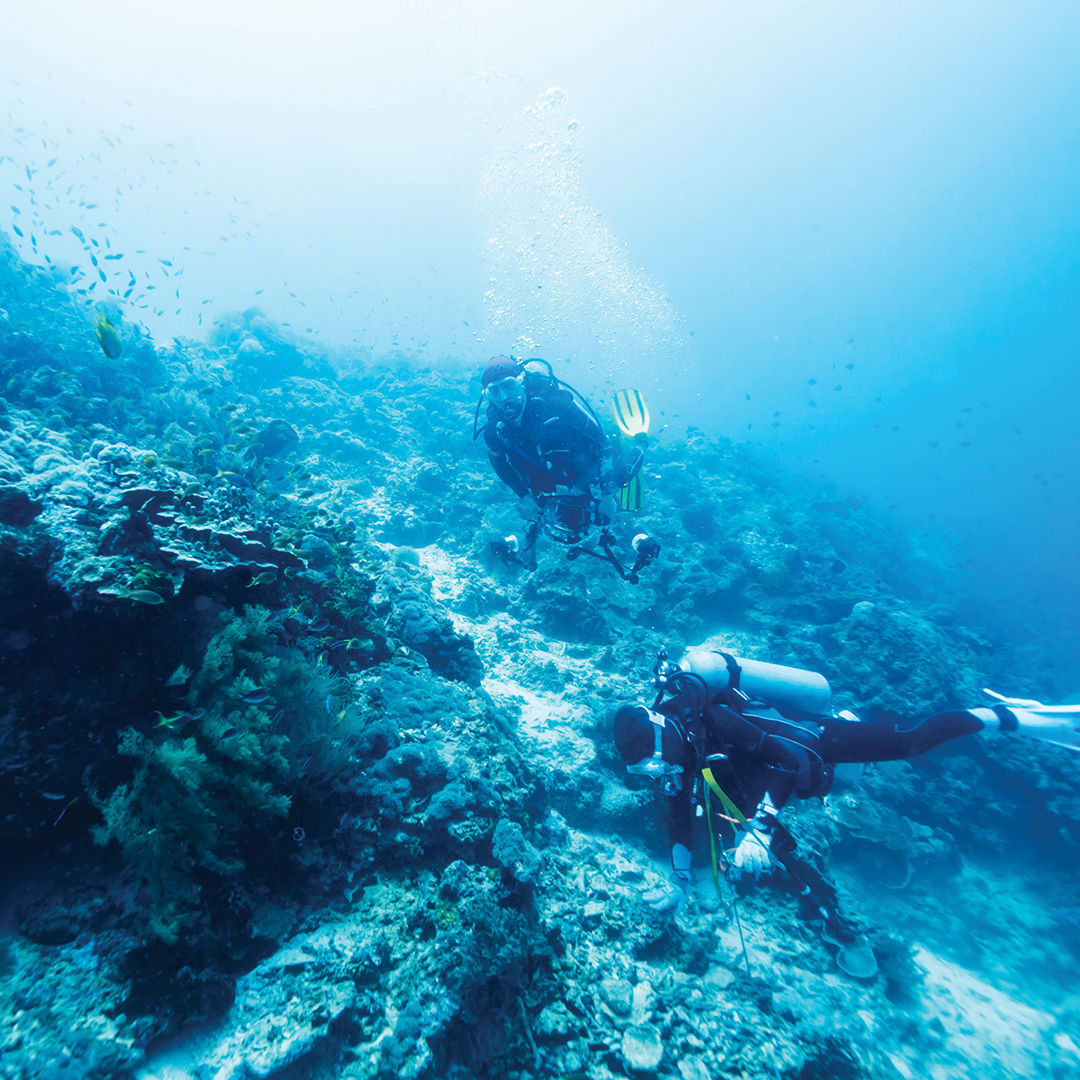 Could you sing "Happy birthday" 5 meters underwater? A special scuba diving adventure for two