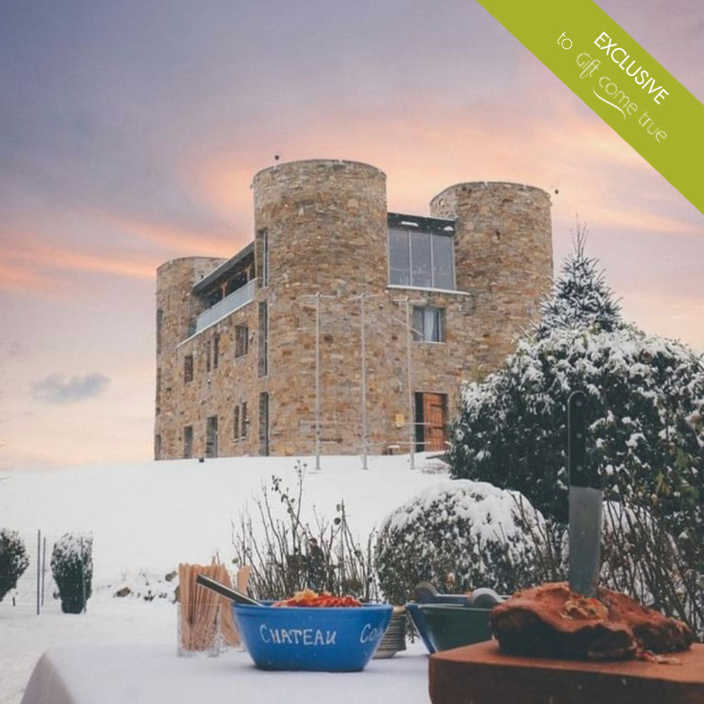 Wine tasting with gourmet dinner and a night to spend in a castle - for two!