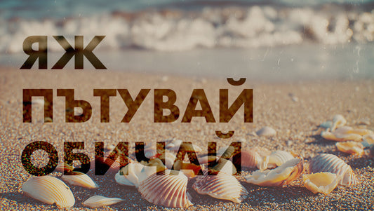 Seashells: A Nostalgic Taste of Summers When We Loved the Sea
