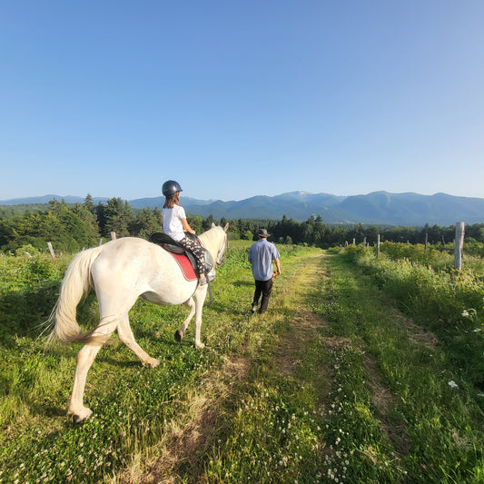Horse riding lessons for children in Borovets