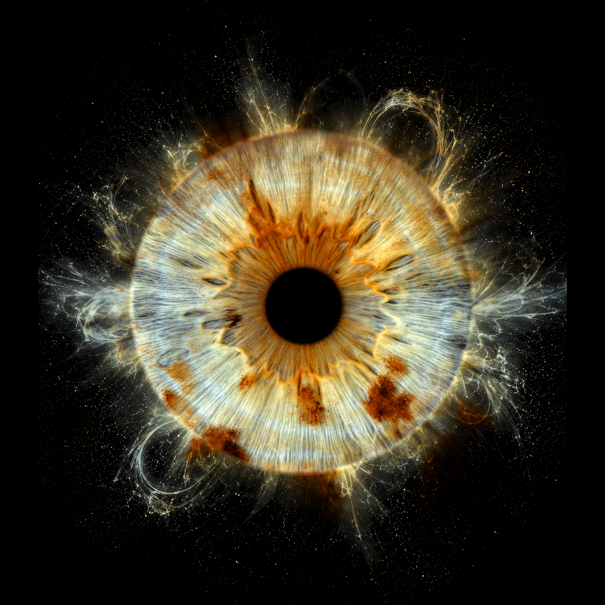 Your eyes as a masterpiece. Iris photography in Sofia