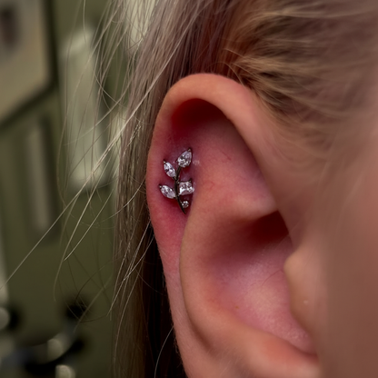 Piercing voucher of your choice