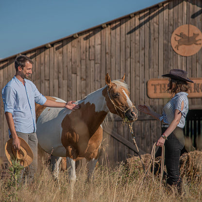 Romance ... on saddles! Horse riding for two