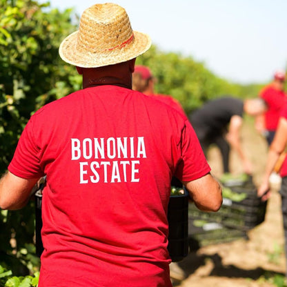 Wine tasting for two at Bononia Estate Winery and Resort