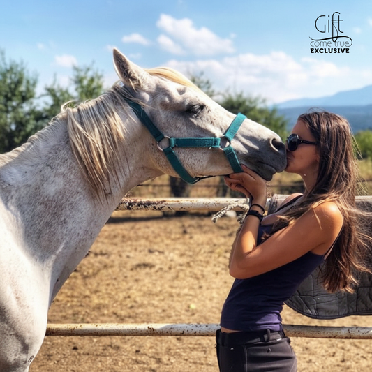 Horse riding in Rila. Galloping to happiness. Rancho Rila