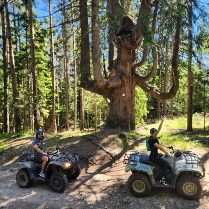 ATV tour in the Rhodope mountains