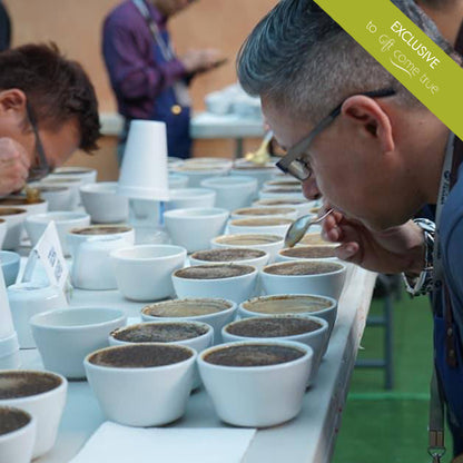 Cup of excellence - Тhe best of the coffee world