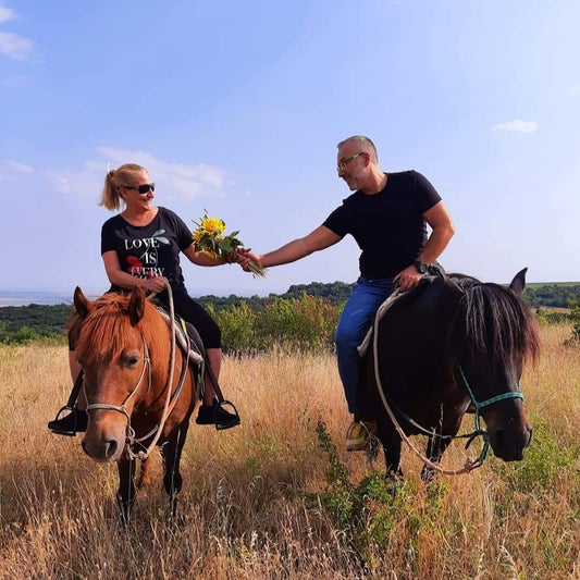 In harmony with nature and horses. Horse riding and overnight stay for two