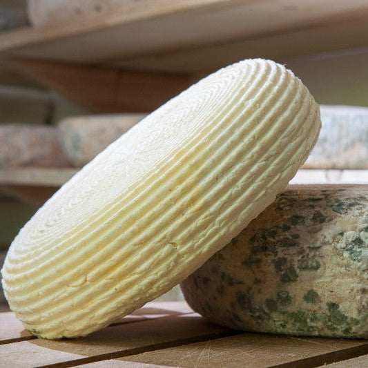 Cheese making at home with Tsvetan Dimitrov