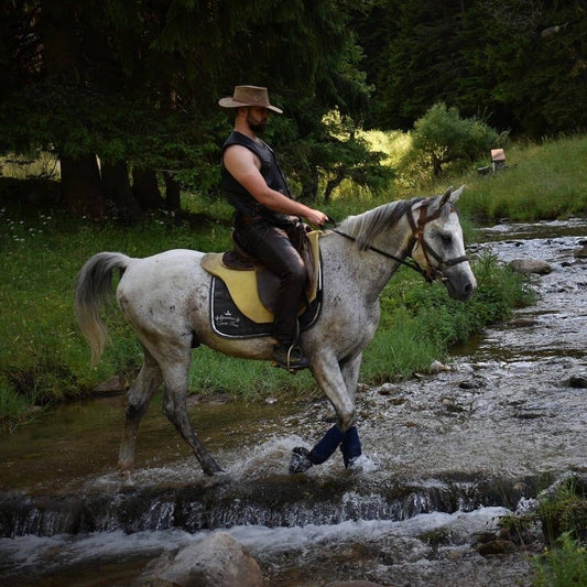 Horse riding lesson or a horse trek near Trigrad