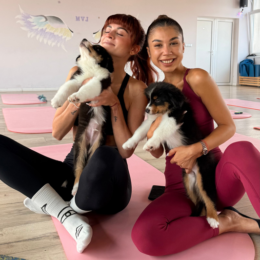 Puppy yoga class. Improve your health and relax with friendly puppies. Sofia