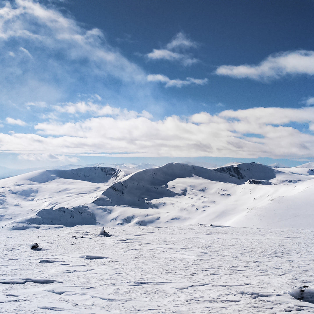 Discover the beauty of Bulgaria! Mountain hike to Mount Belmeken with snowshoes