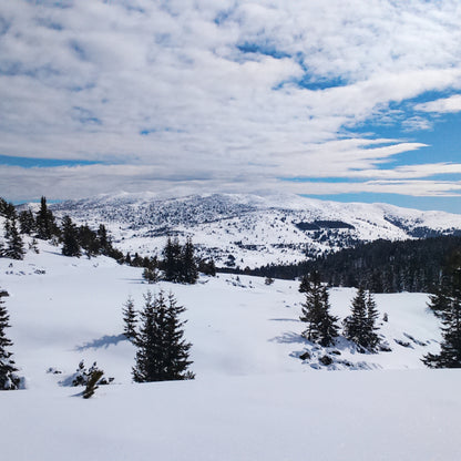 Discover the beauty of Bulgaria! Mountain hike to Mount Belmeken with snowshoes
