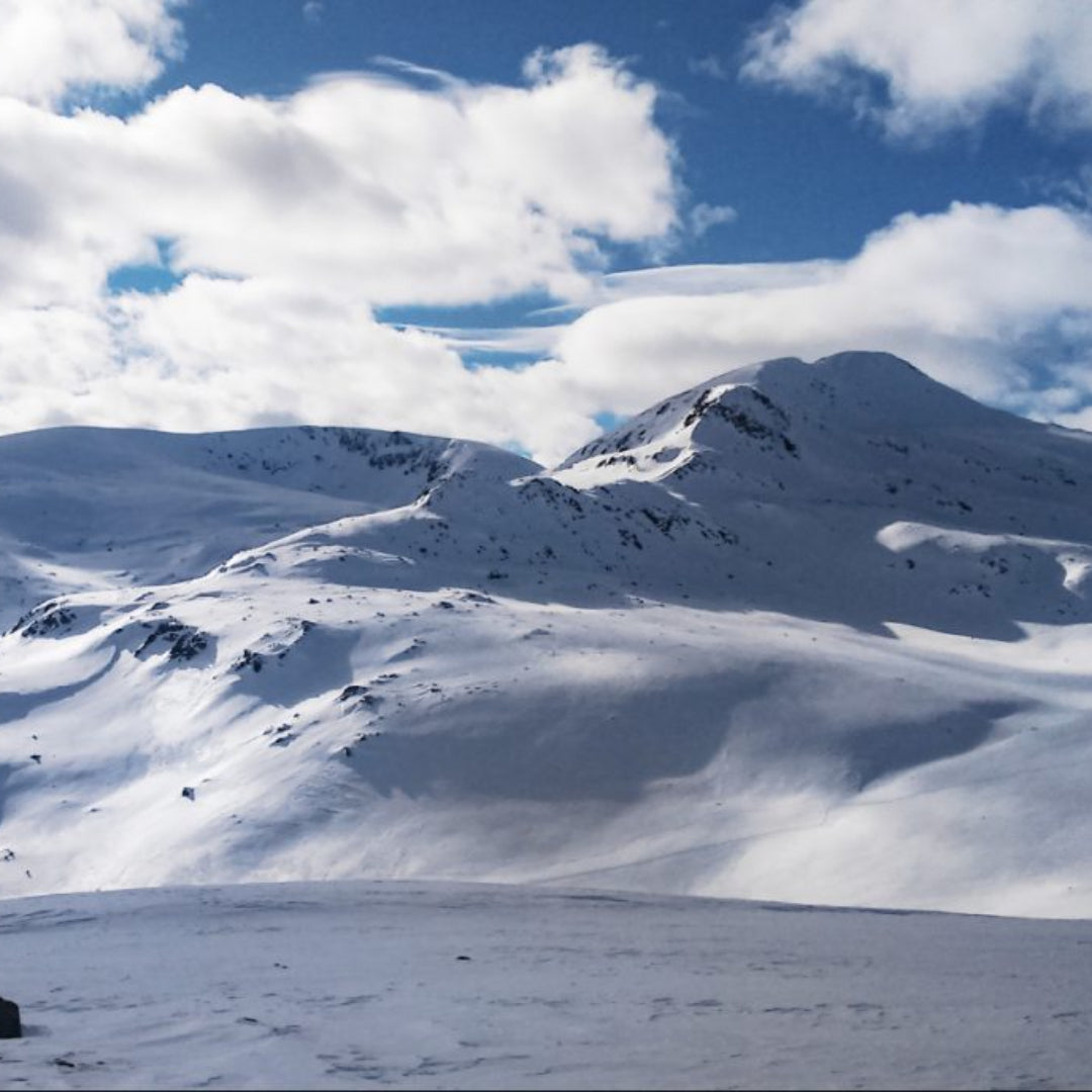 Discover the beauty of Bulgaria! Mountain hike to Mount Belmeken with snowshoes