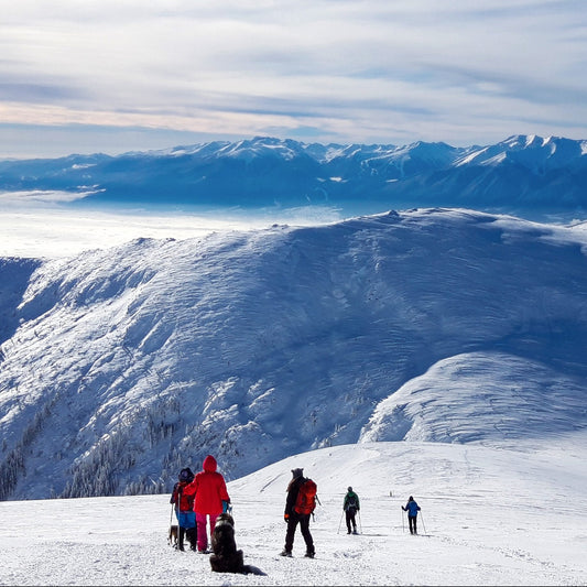 Discover the beauty of Bulgaria! Mountain hike to Macedonia Hut, the Parangalitsa Reserve and Golyam Mechi Peak