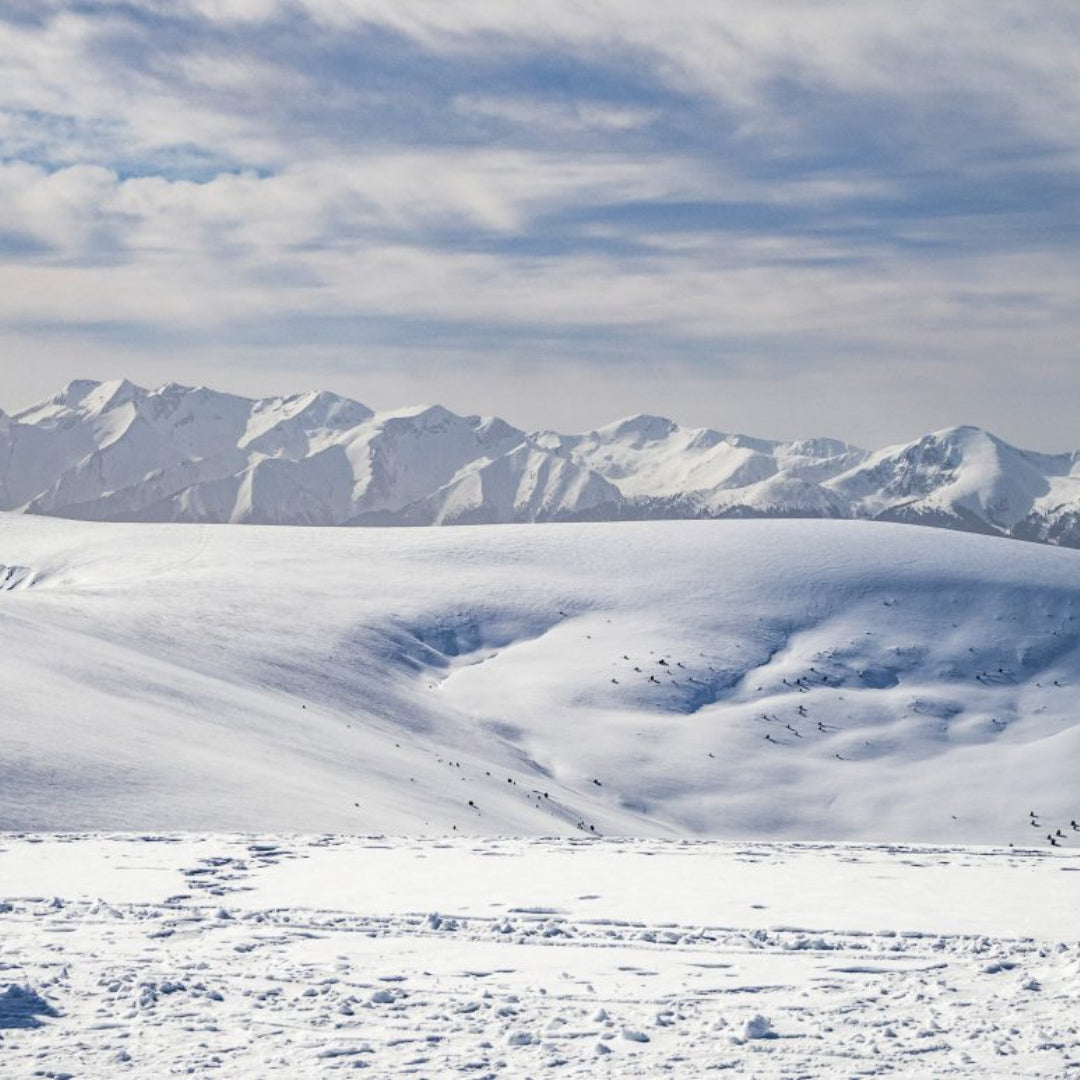 Discover the beauty of Bulgaria! Mountain hike to Macedonia Hut, the Parangalitsa Reserve and Golyam Mechi Peak