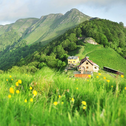 Discover the beauty of Bulgaria! Mountain trek to Mazalat Hut and the Singing Rocks