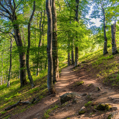 Discover the beauty of Bulgaria! Mountain trek in the Central Balkans