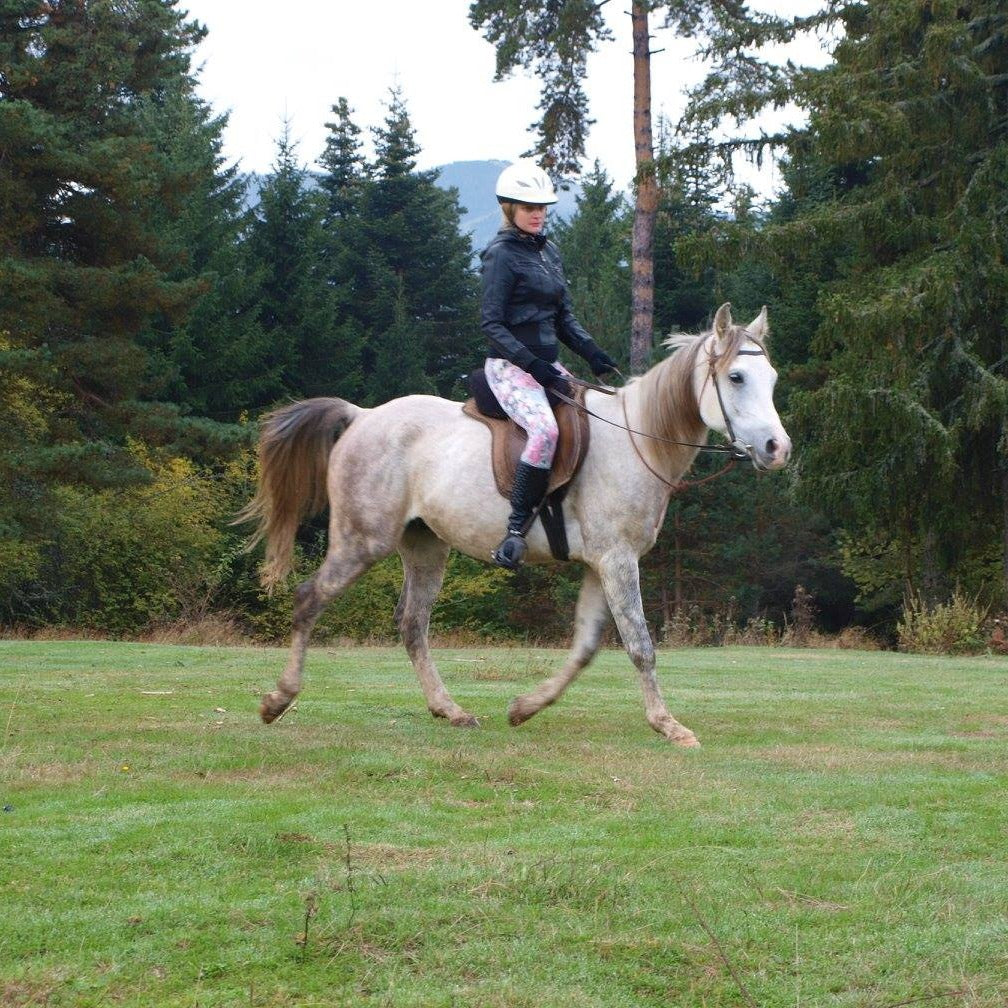 Horse riding near Borovets