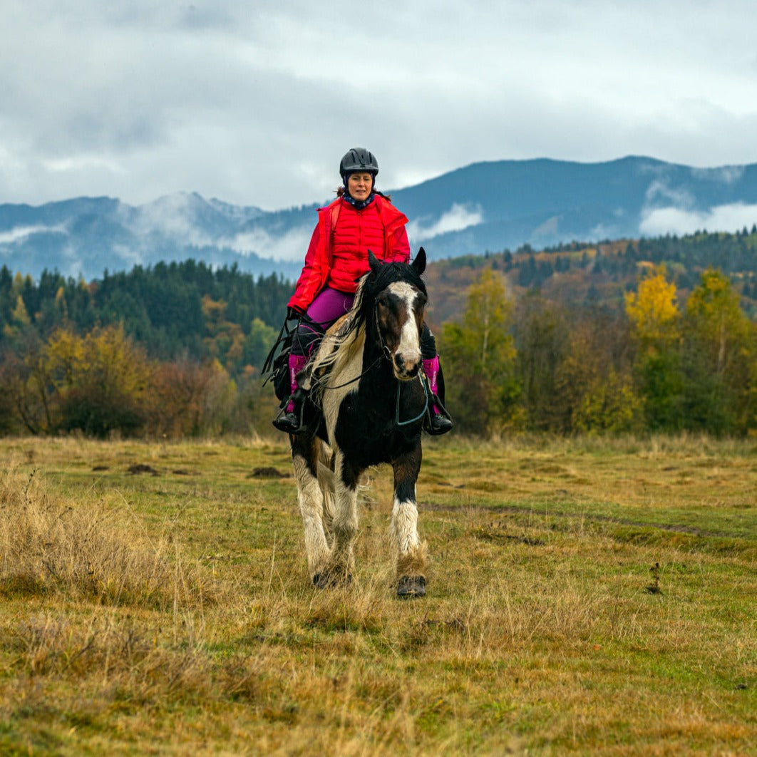 Horse riding near Borovets