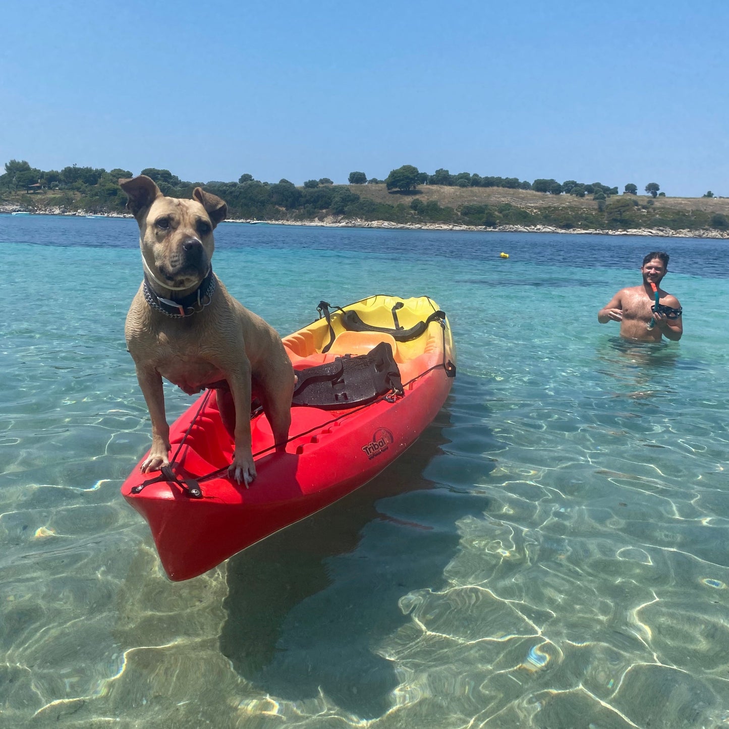 Half-day kayak tour in the crystal waters around Vourvourou and Diaporos island. Greece