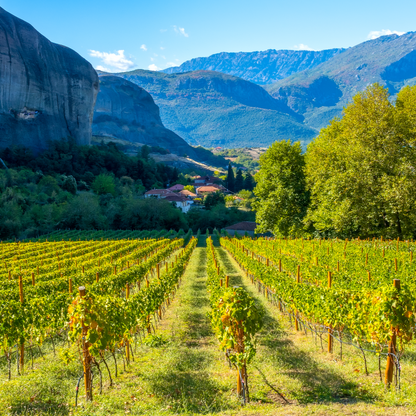 Visit, enjoy and… TASTE Meteora - Private food and wine tour