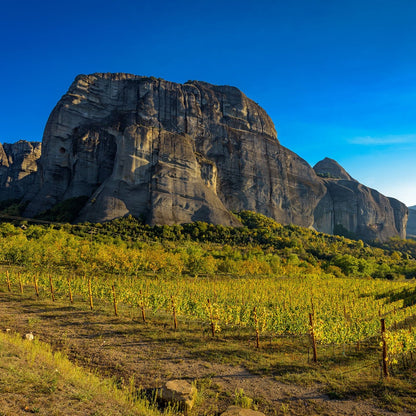 Visit, enjoy and… TASTE Meteora - Private food and wine tour