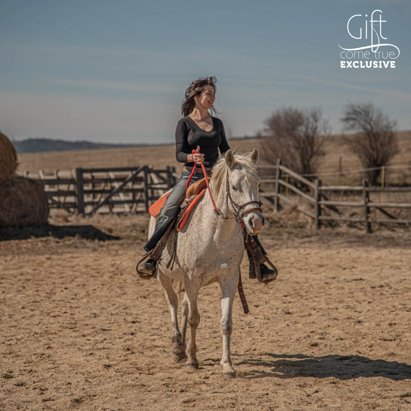 Wild Wild West! A package of individual Mustang riding lessons for beginners in an authentic ranch