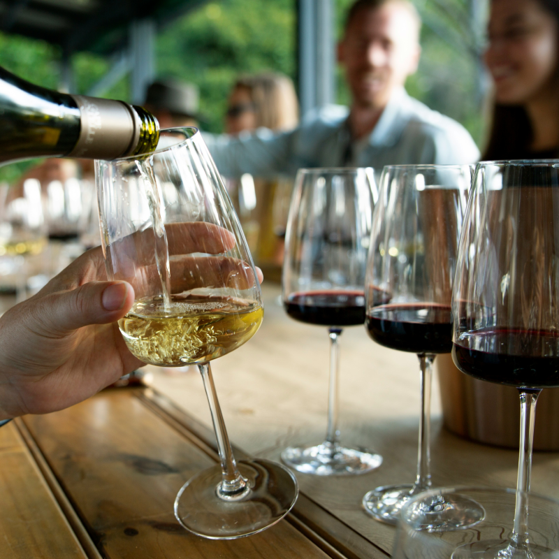 A surprise tasting of five different wines. Sofia 